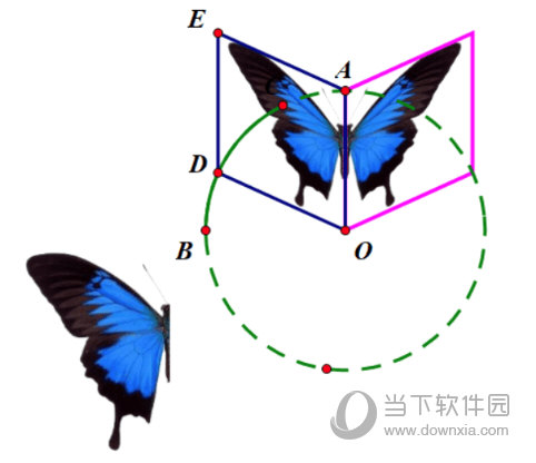 几何画板怎么制作蝴蝶动画