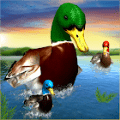 虚拟鸭子模拟器3D中文版
