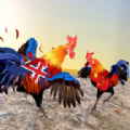 农场公鸡与愤怒的小鸡搏斗拳击手2游戏安卓版下载 v1.7