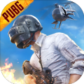 pubg劫后余生国际服游戏下载 v1.8.0