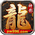 神影龙神觉醒手游官方版  v1.95