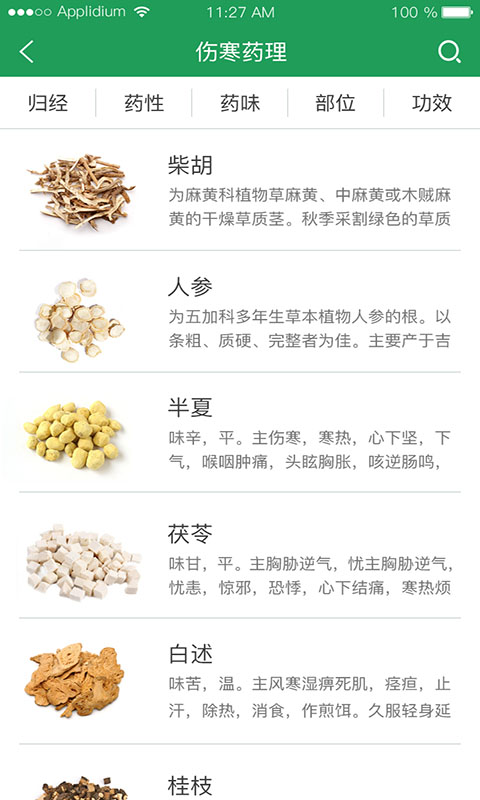 问道伤寒手机版最新版