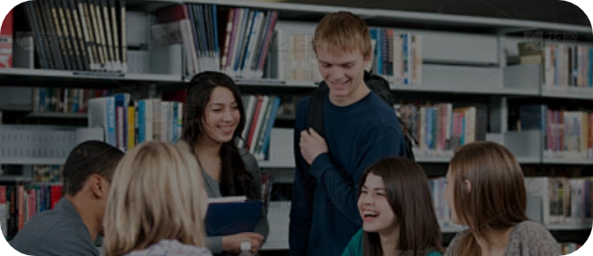 Foreign Language Learning Tutoring