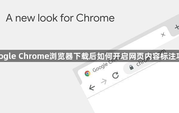 google Chrome浏览器下载后如何开启网页内容标注功能1