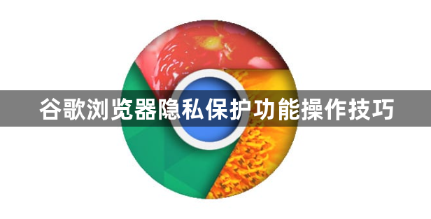 谷歌浏览器隐私保护功能操作技巧1