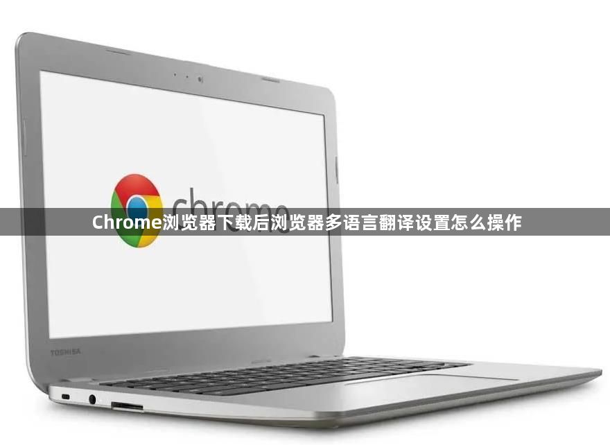 Chrome浏览器下载后浏览器多语言翻译设置怎么操作1