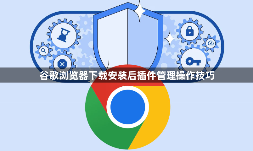 谷歌浏览器下载安装后插件管理操作技巧1