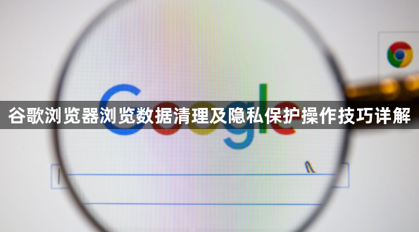 谷歌浏览器浏览数据清理及隐私保护操作技巧详解1