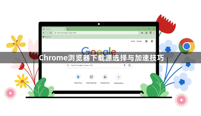 Chrome浏览器下载源选择与加速技巧1