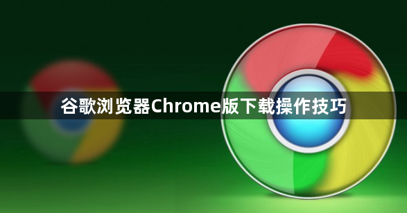 谷歌浏览器Chrome版下载操作技巧1