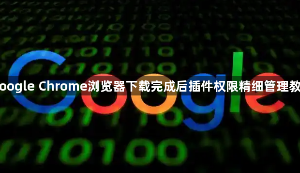 Google Chrome浏览器下载完成后插件权限精细管理教程1