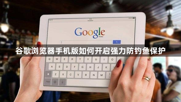 谷歌浏览器手机版如何开启强力防钓鱼保护1